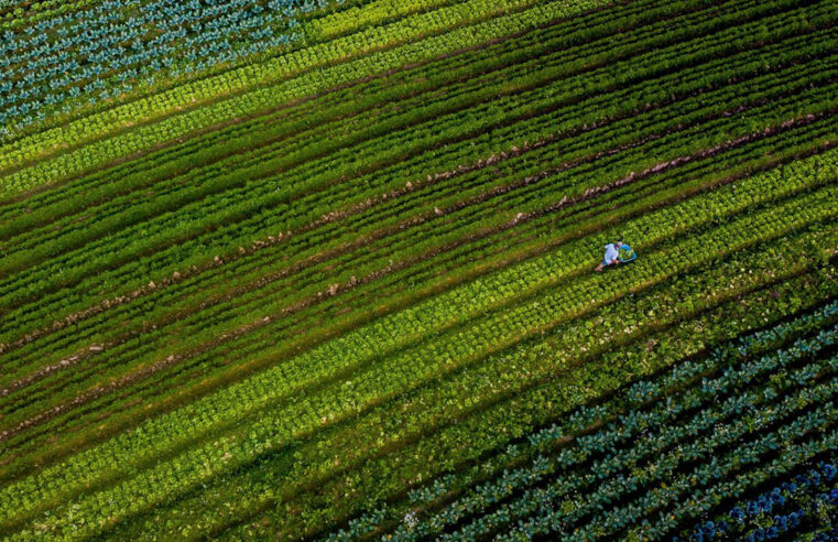 Governador de Santa Catarina alerta para impactos na economia com taxação sobre letras de crédito