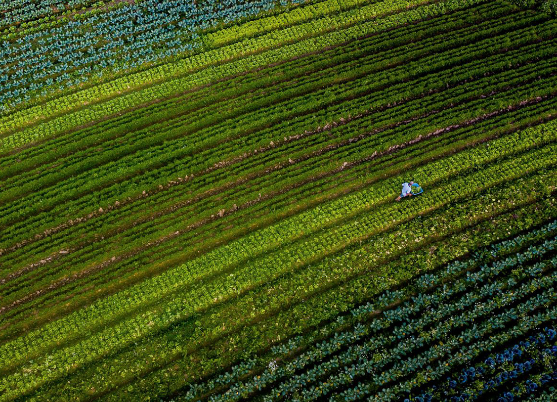 Governador de Santa Catarina alerta para impactos na economia com taxação sobre letras de crédito