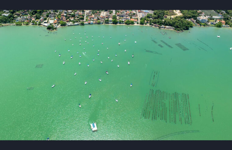 Fapesc suplementa edital de apoio a projetos de pesquisa e inovação na área da economia azul sustentável