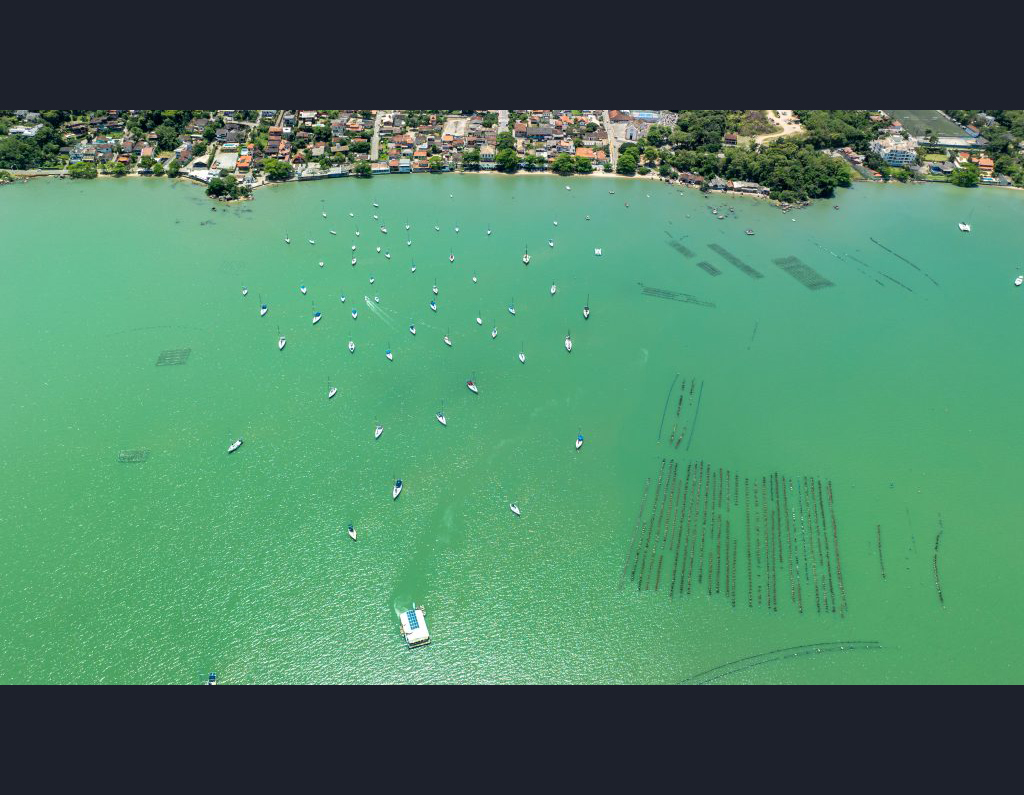 Fapesc suplementa edital de apoio a projetos de pesquisa e inovação na área da economia azul sustentável