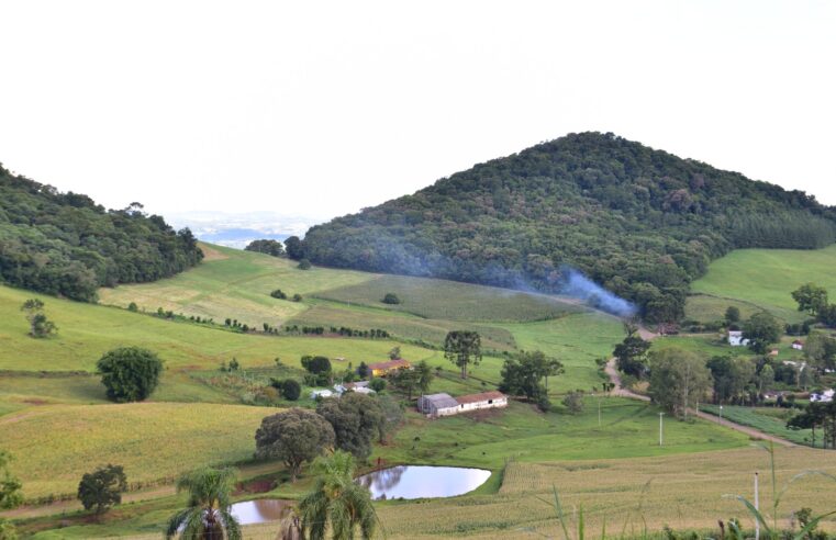 Com incentivo do Estado, produtor catarinense pode ter financiamento com juro zero no Plano Safra