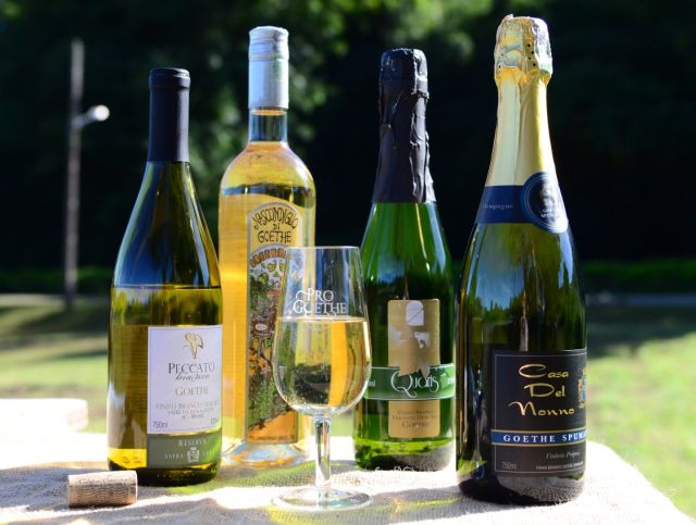 Denominação de Origem valoriza identidade dos vinhos Goethe produzidos em SC